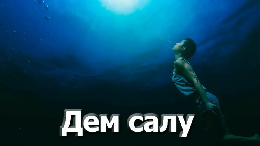 Дем салу жайында